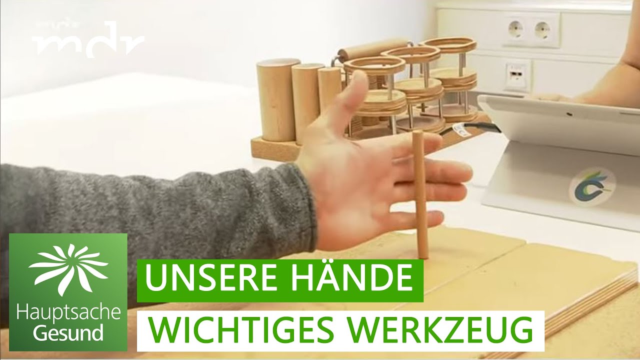 Ergotherapie: Kraft und Beweglichkeit der Hand trainieren  | Hauptsache gesund | MDR