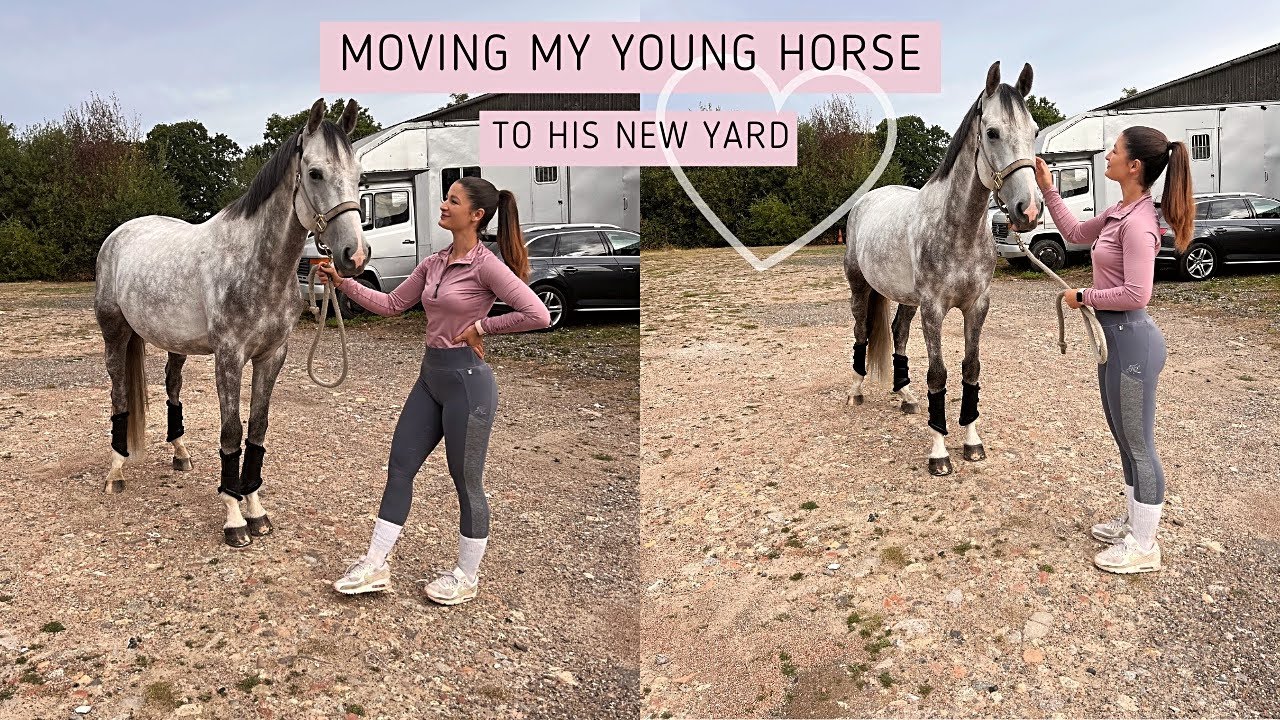 MOVING MY YOUNG HORSE TO HIS NEW YARD! stable tour, rehab update and more!