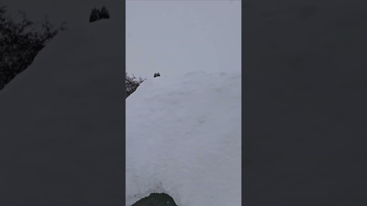 Vi har byggt en sn&ouml;koja