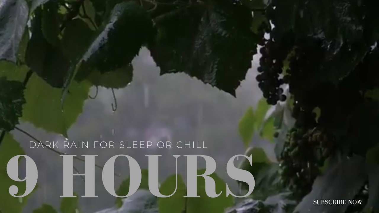 Dark Rain on Leaves for Sleep | 9 Hours
