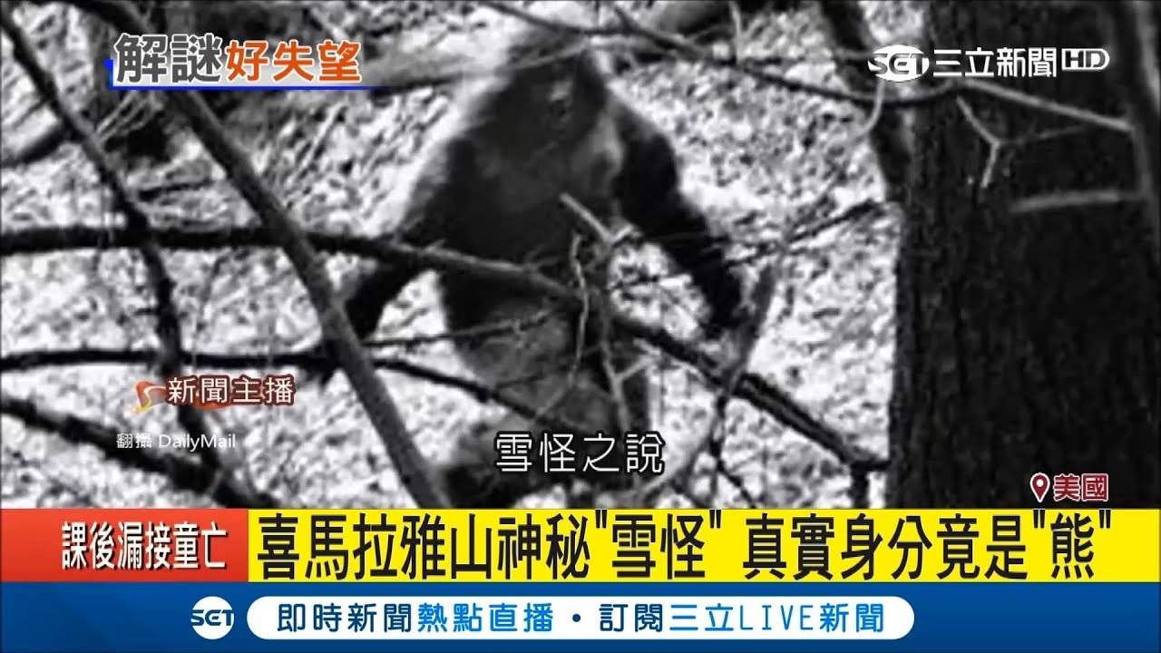 好失望！喜馬拉雅山神秘「雪怪」解密　真實身分竟是熊│記者李慧蘋│【國際大現場】20171129│三立新聞台
