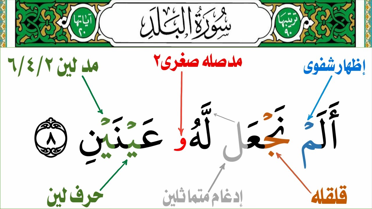تعلمت احكام التجويد بهذه الطريقة/ تجويد سورة البلد/ جزء عم من (ألم نجعل له عينين)إلى(يتيما ذا مقربه)