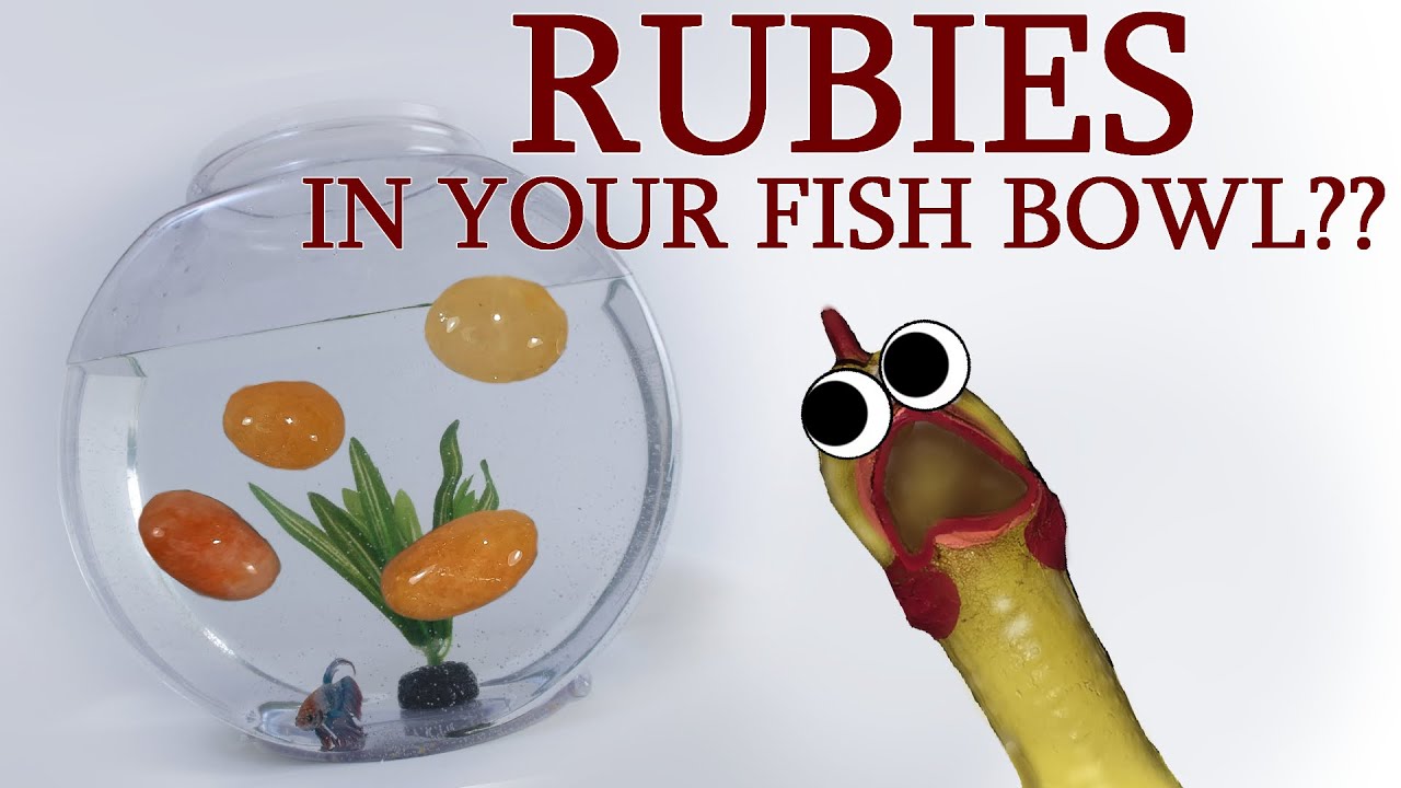 Are Their Rubies In Your Fish Tank Gravel??