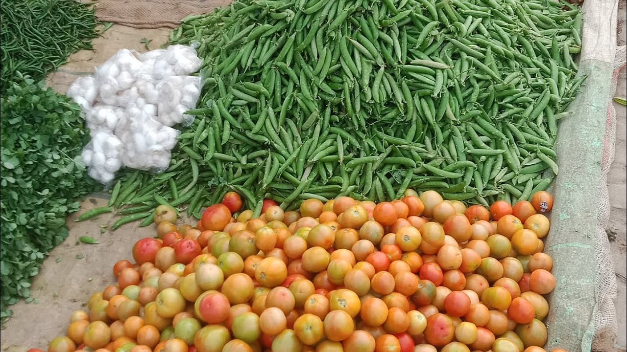 Etawah ki Bajar lagane se battery Tak kya kya karna padta hai 🙏🍅🧄🥦🧅🥺