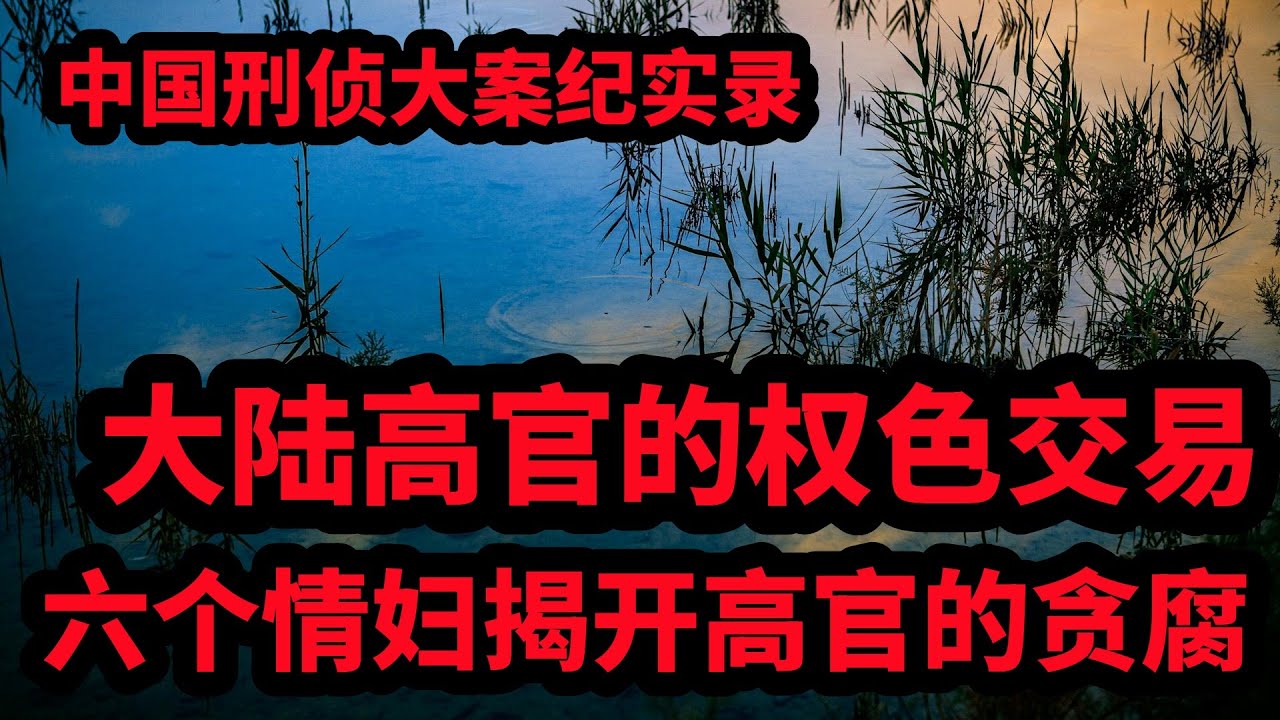 中国刑侦大案纪实录，六个情妇揭开高官的贪腐