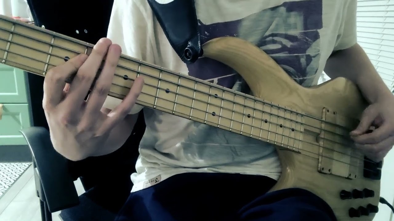 Willie Hutch - I Choose You (bass cover)
