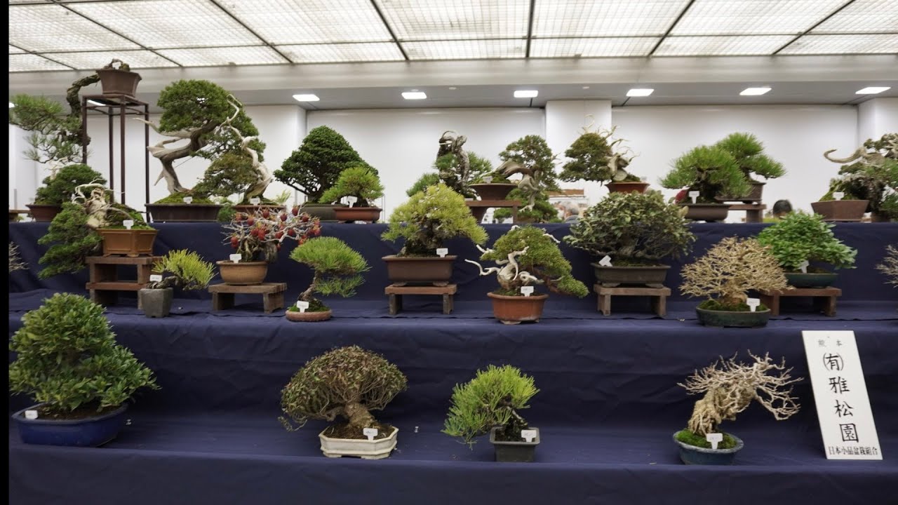 雅風展2023 熊本 雅松園 佐々木さんの売店