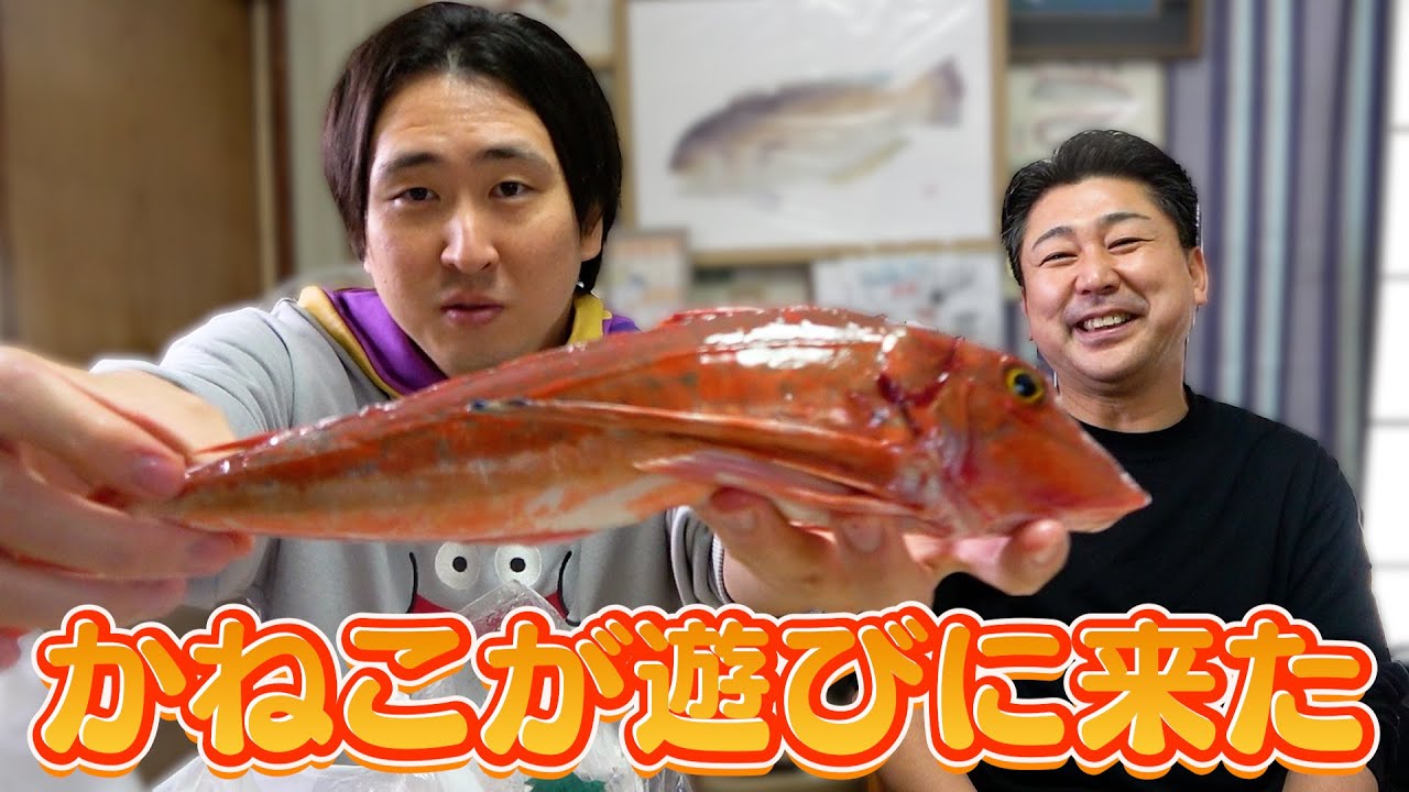 【きまぐれクック】かねこに得意料理？を振る舞うよ！
