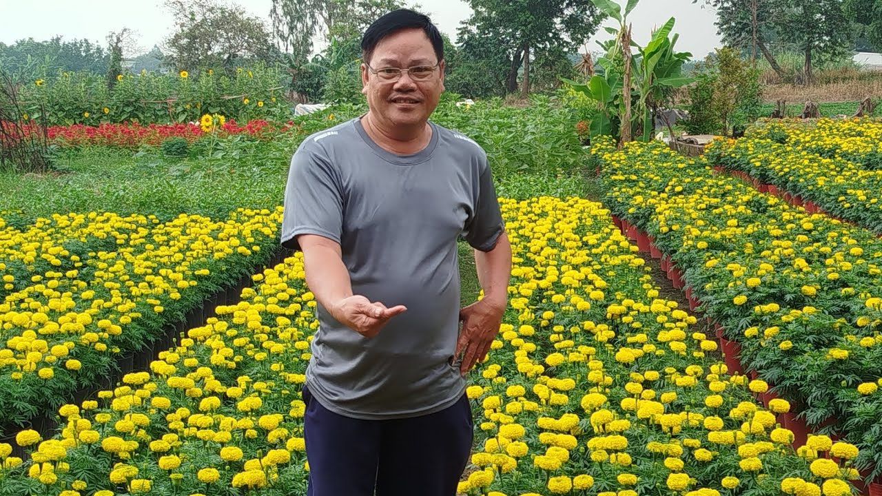 Vườn Hoa Tết nhà Chị Út nha 