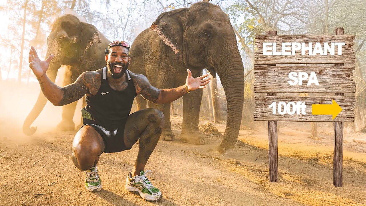 Private Tour of an Indian Billionaires Elephant Sanctuary Vantara (emotional)