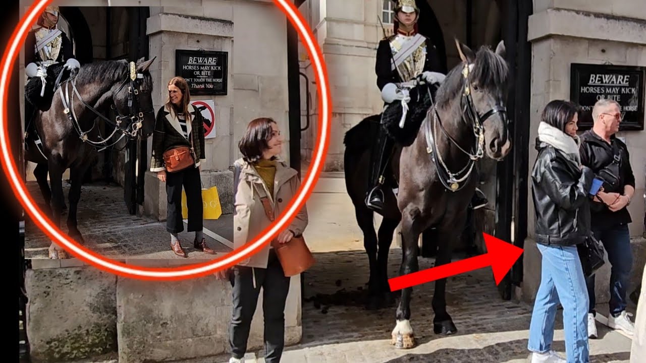 The Guard immediately PULLED the Horse when he saw the woman approaching quickly!