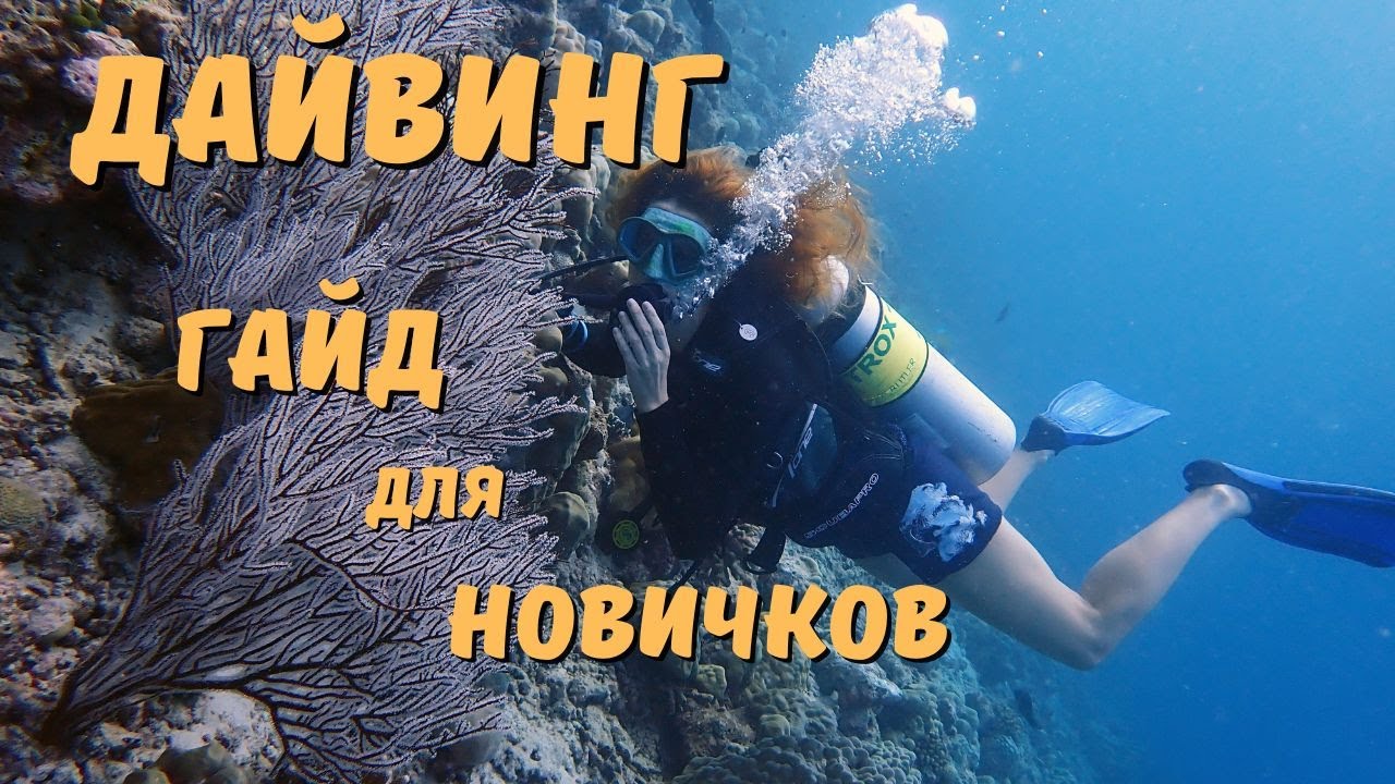 ДАЙВИНГ. Как начать и 10 самых частых вопросов от новичков
