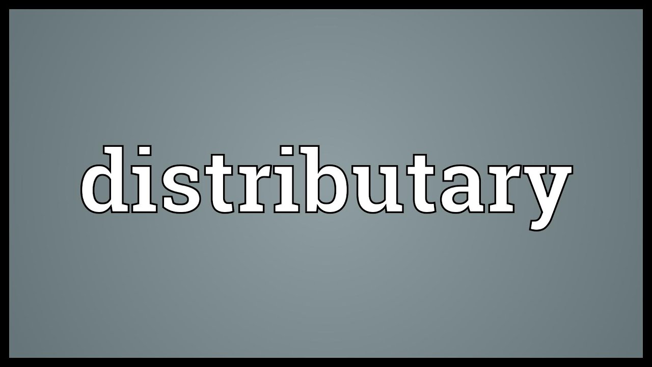 Distributary Meaning