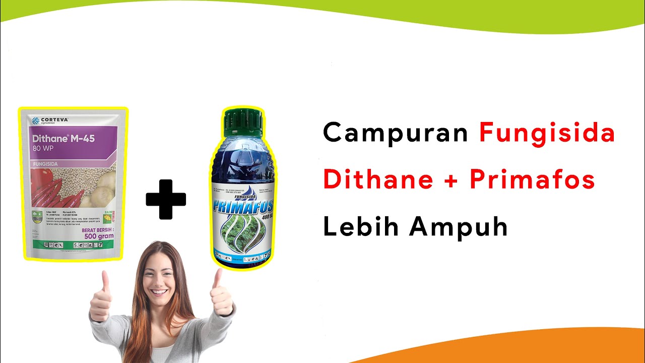 Racikan Fungisida Mirip Bion M, dengan Dithane + Primafos, Lebih Kuat dan Irit Biaya