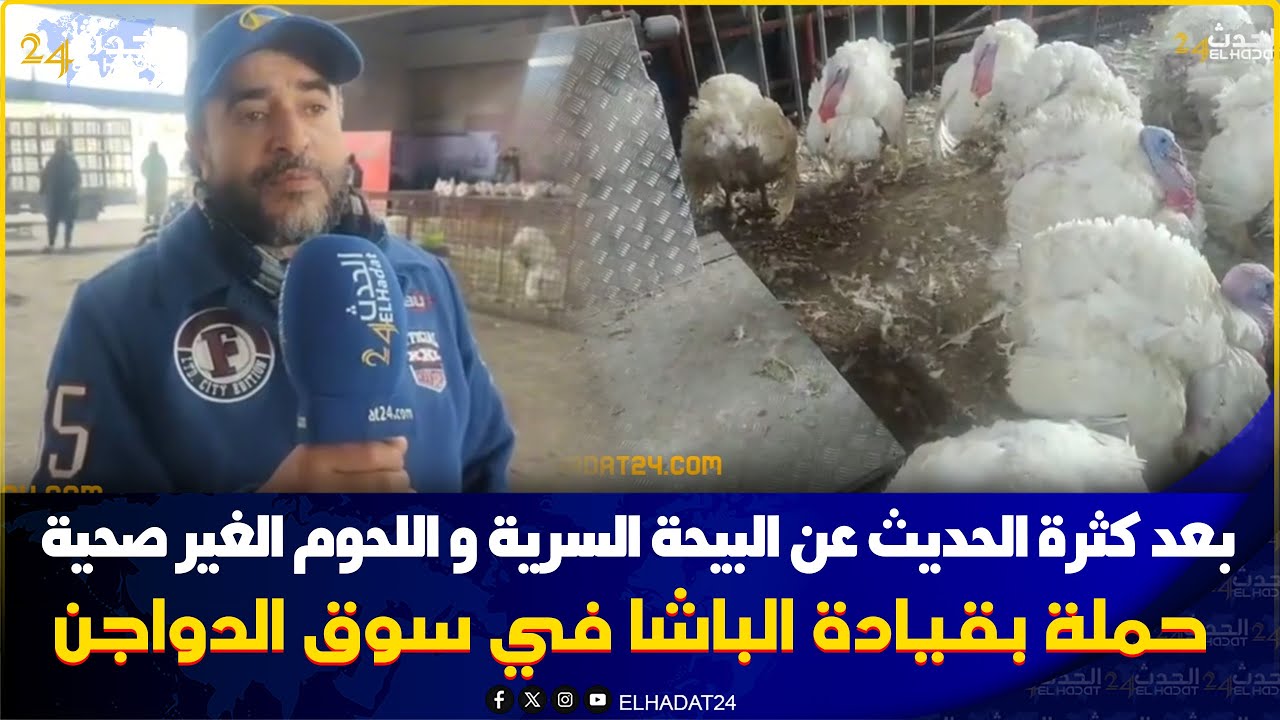 من  الدار  البيضاء دورية الباشا والقايد بسوق الدجاج لمراقبة جودة الدجاج ولي حصل مشا فيها