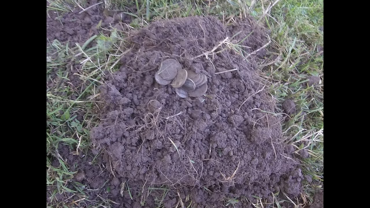 Two Coin Spills Two Axe Heads