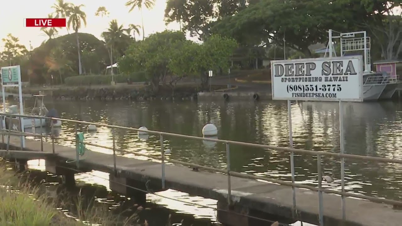 Checking water movements at Haleiwa Harbor in morning light