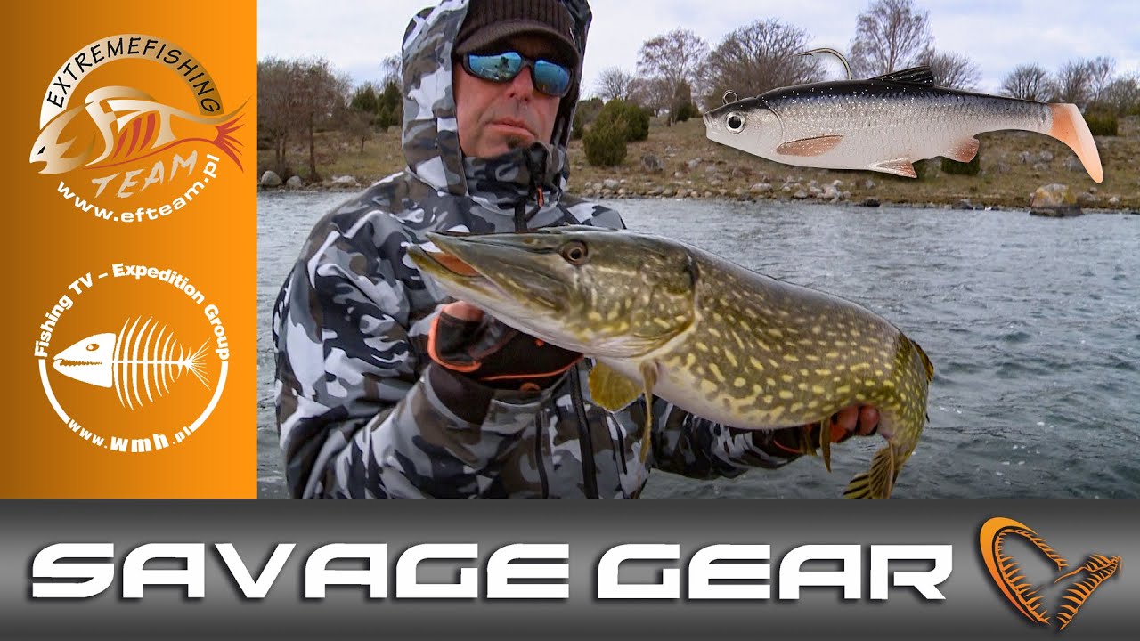 Test przynęty Savage Gear 3D Roach Paddle Tail