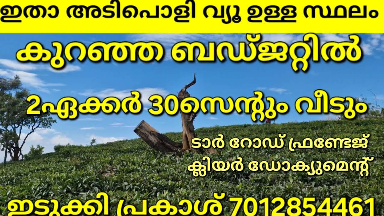 റിസോർട്ടിനും കൃഷിക്കും അനുയോജ്യമായ 2ഏക്കർ 30സെന്റും വീടും.അടിപൊളി വ്യൂ. ഏലം തേയില. ഇടുക്കി പ്രകാശ് 👇