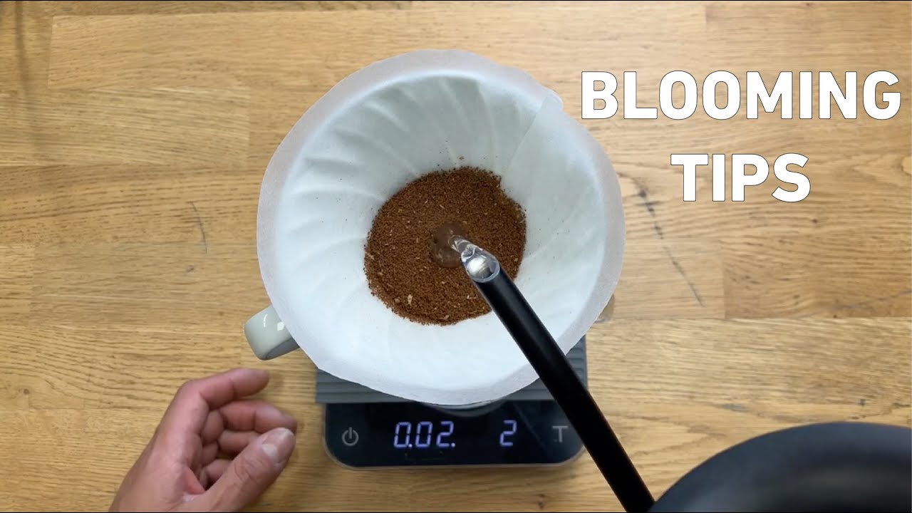 Blooming Tips for Pourover Coffee | Intelligentsia Coffee