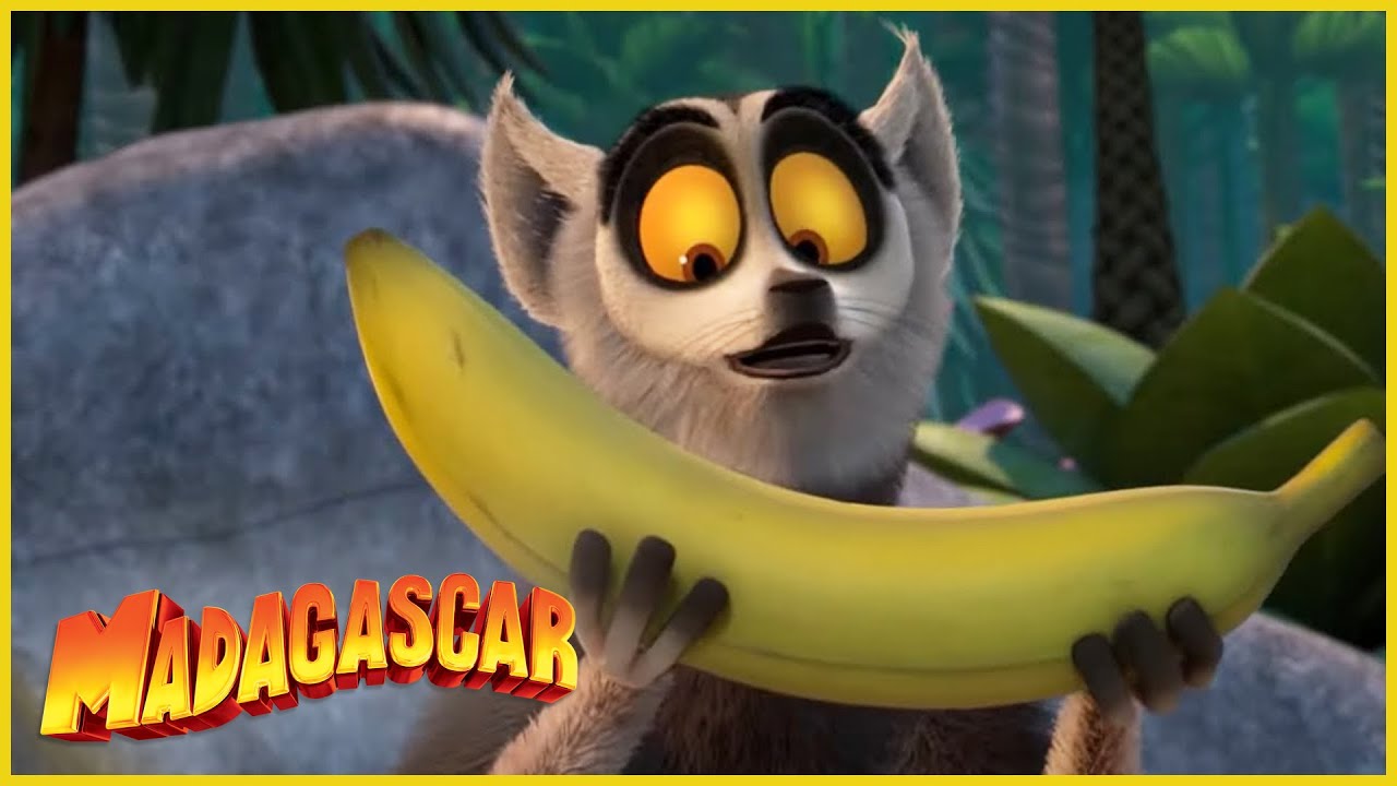 Viva el Rey Julien | ¿Una banana | Madagascar | Dibujos animados para niños