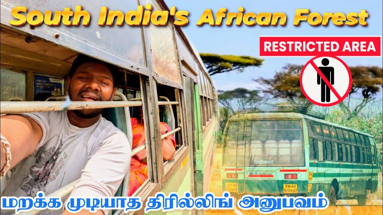 💢SOUTH INDIA'S AFRICAN FOREST|TNSTC BUS TRAVEL 🚌⁉️கோத்தகிரியின் கடைசி கிராமம்|THENGUMARAHADA VILLAGE
