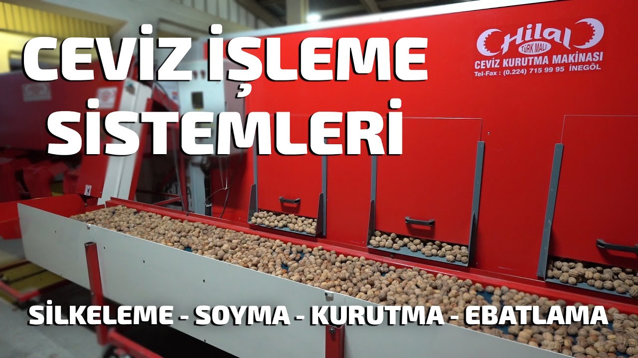 Ceviz Hasadı Sonrası Ceviz İşleme Sistemleri