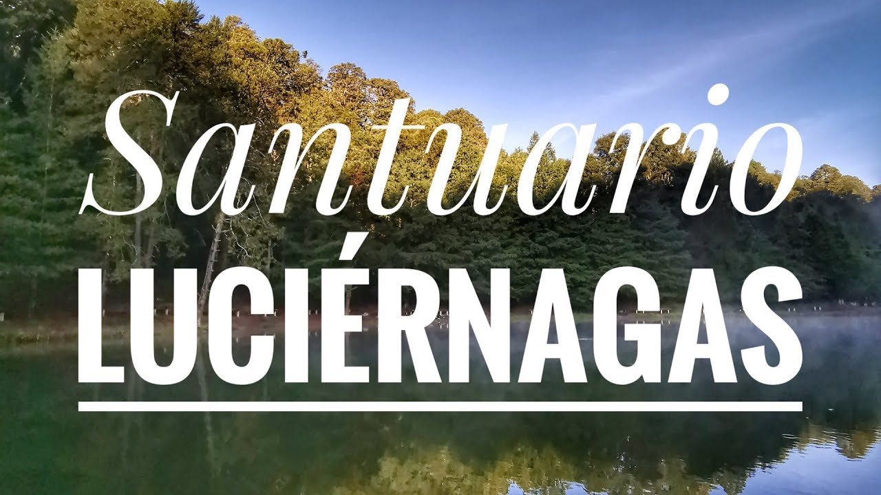 Como llegar al Santuario de las Luciérnagas, donde comer y donde hospedarse.