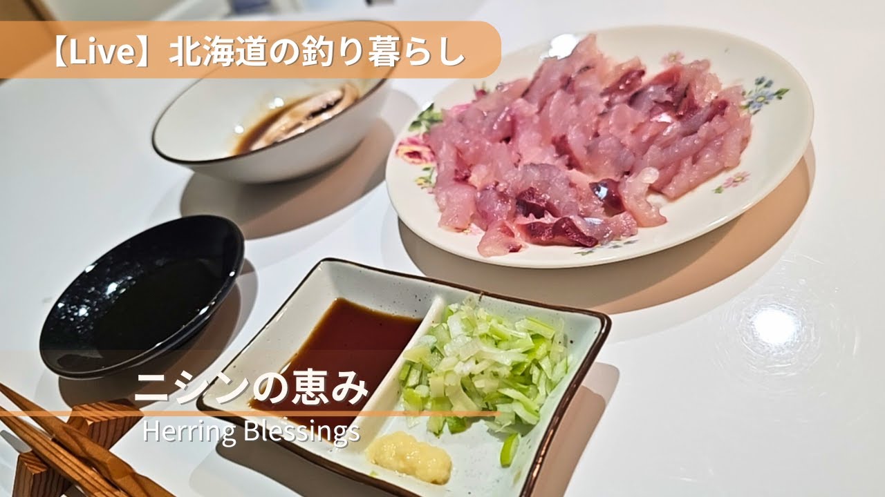 【Live】北海道の釣り暮らし｜分けてもらったニシンを味わう夜 | Sharing Fresh Herring in Hokkaido
