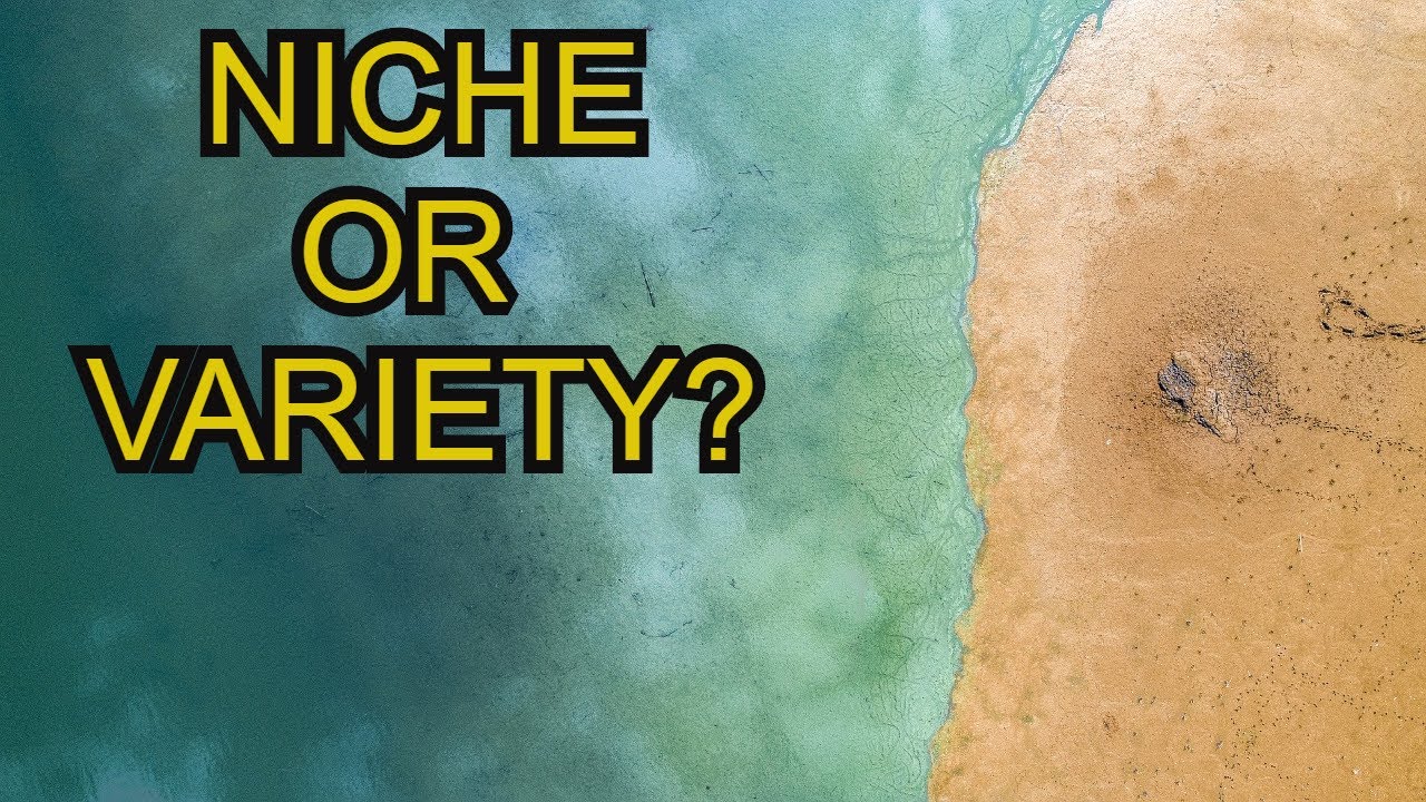 NICHE DOWN OR MAKE VARIETY CONTENT? (The Benefits and Downsides of Both)!