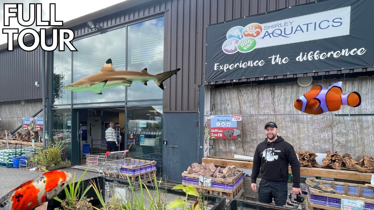 FISH SHOP Tour at SHIRLEY AQUATICS