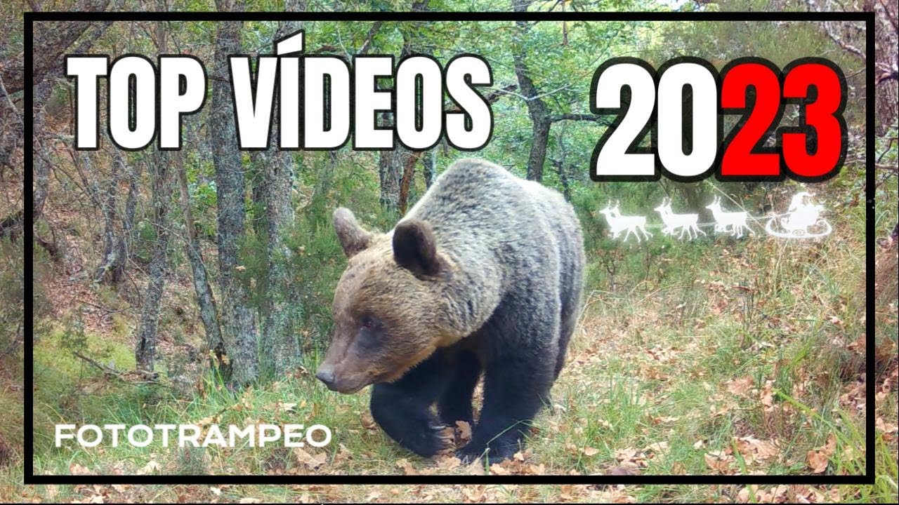 Mejores vídeos FOTOTRAMPEO ||2023||
