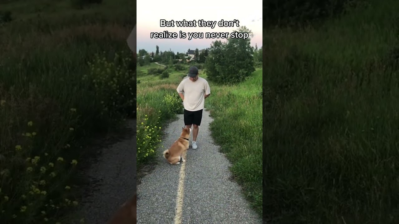How To Train Your Shiba