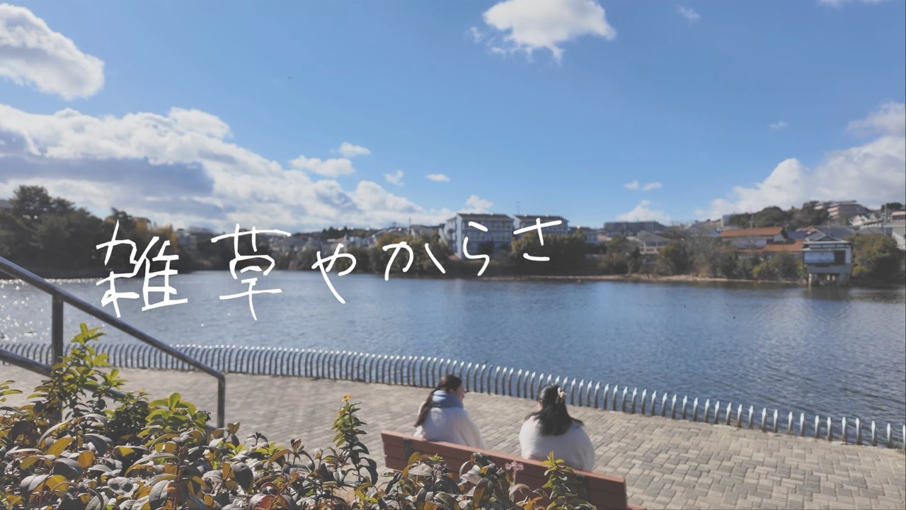 「雑草やからさ」｜第9話 ヒメジョオン