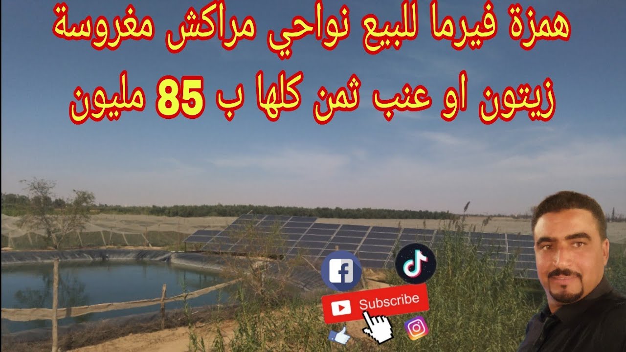 🛑هدا ليس متوفرا انه مباع 🔴 همزة فيرما للبع غروسة تقريبا 4هكتار عنب او 1هكتار زيتون ثمن ب 85 مليون