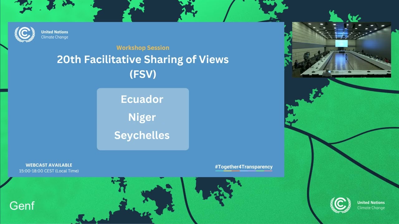 Twentieth workshop of the facilitative sharing of views (FSV)