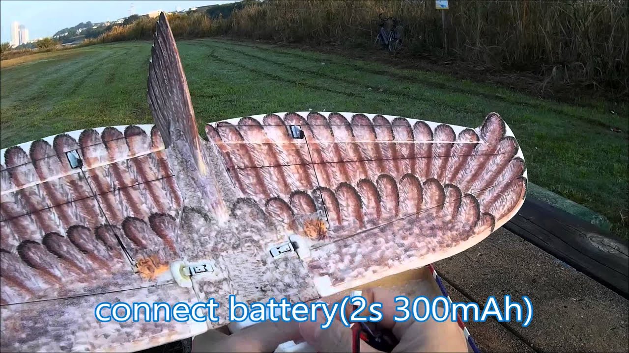 DIY small motor alula
