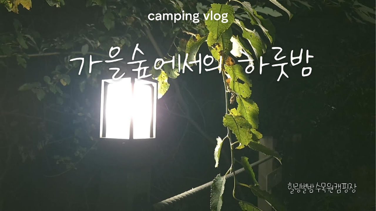 #43.[월간여행] 가을숲에서의 하룻밤/가을캠핑/힐링별밤수목원캠핑장/캠핑의 이유/차박캠핑