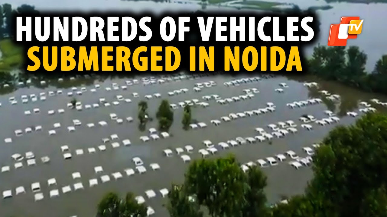 Noida Flood: Hundreds Of Vehicles Submerged After Rise In Water Level Of Hindon River