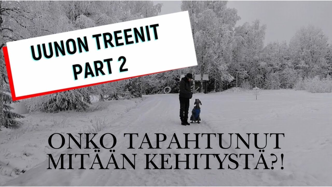 UUNON TREENIT - PART 2!
