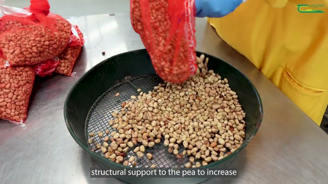 Plant-based proteins - Putting Research into Practice