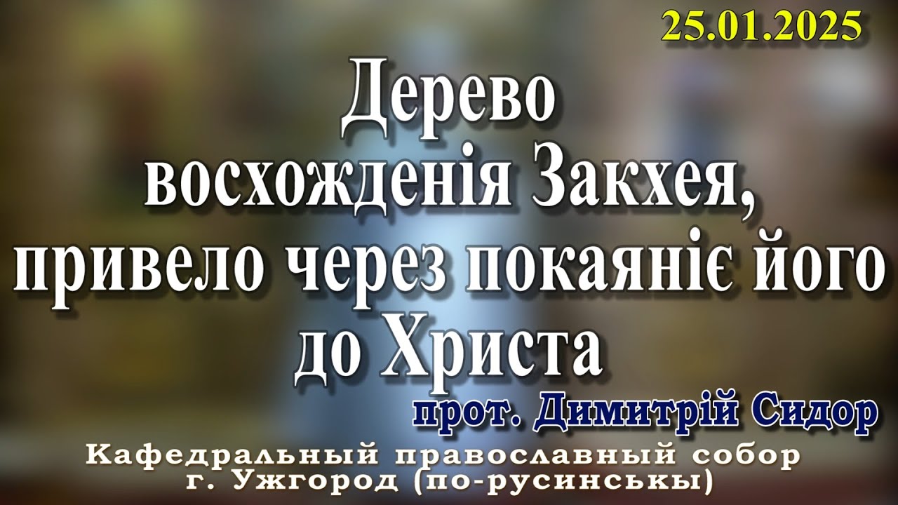 Дерево восхожденія Закхея, привело через покаяніє його до Христа.25.01.2026 , прот. Димитрій Сидор