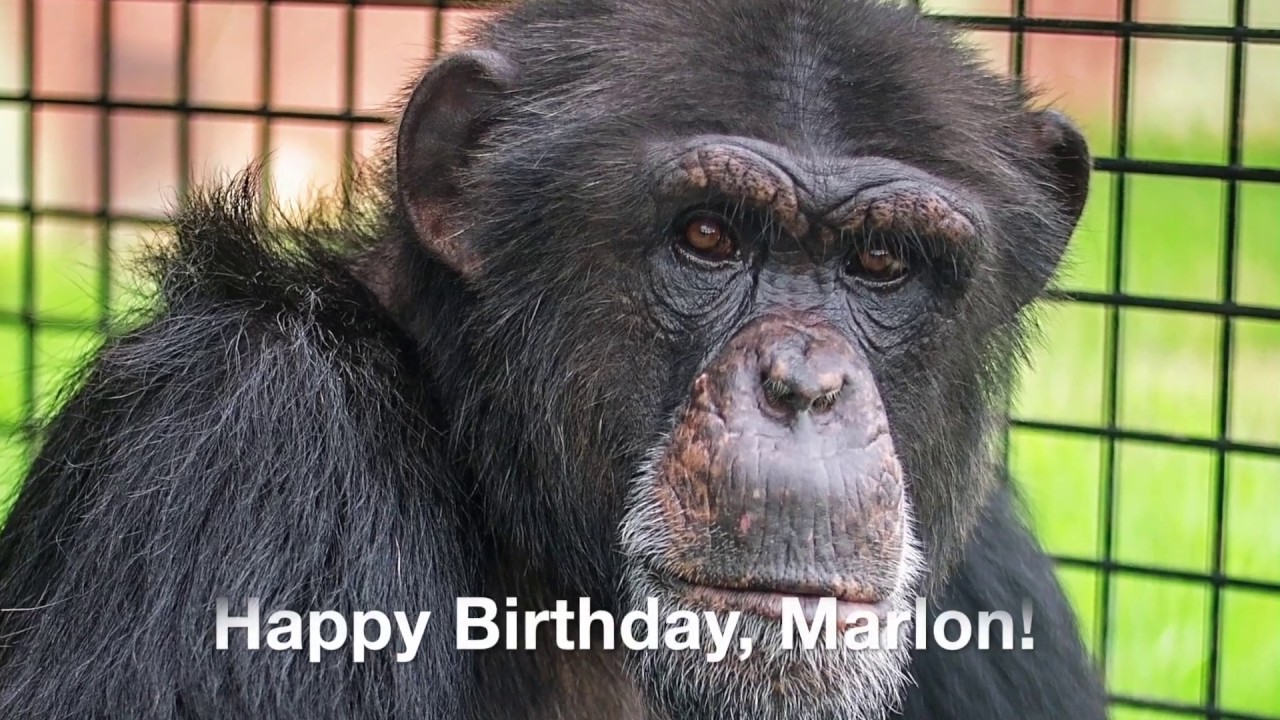 Marlon Turns 17