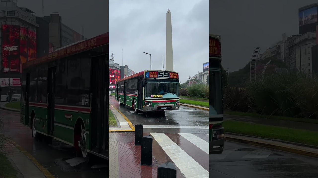 Linea 59 / obelisco 🇦🇷 #bondis #colectivos #bus #buses #argentina #obelisco