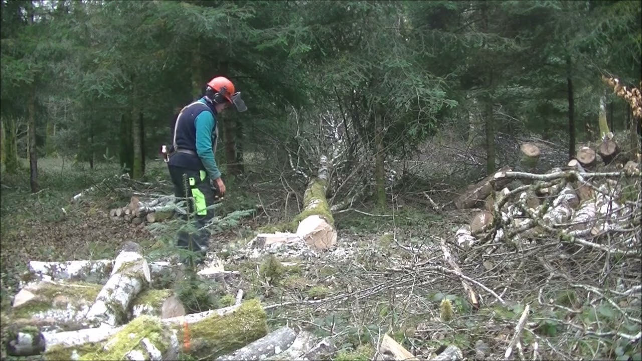 BOIS DU CHAUMOIS