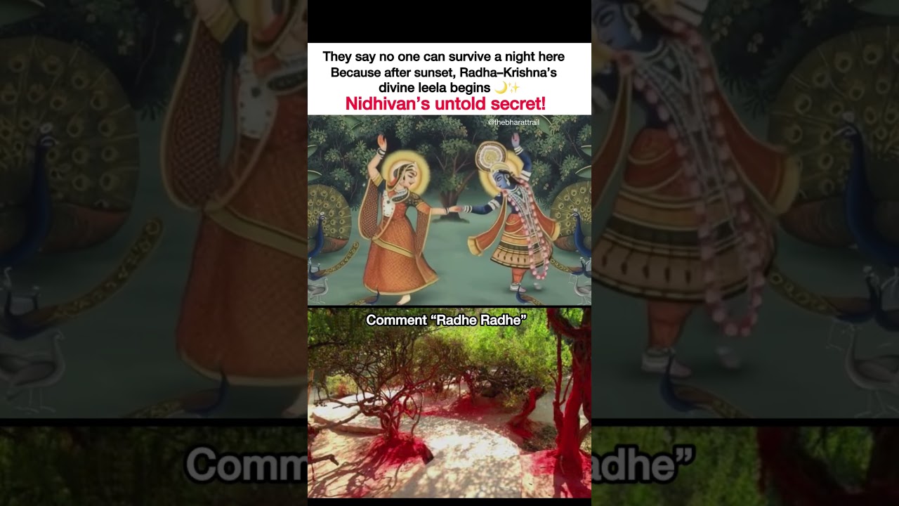 The Mystery Of Nidhivan 🌙 Where logic stop and Leela begins 💫#lordkrishna #jaishreekrishna #shorts