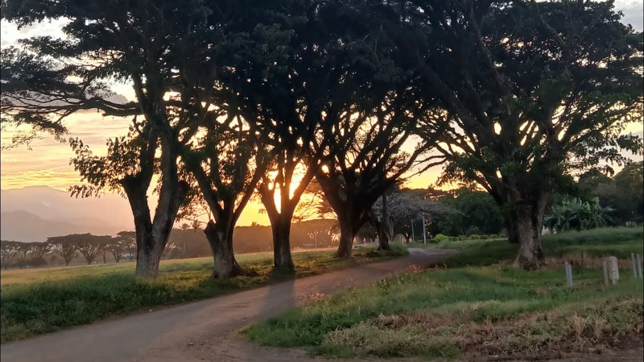 Take a Walk with me to Warias Estates Compound 🙃💚 Sweet Ramu Valley 💙
