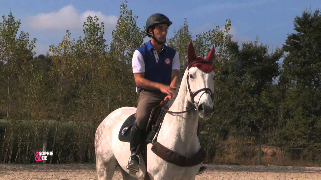 Gymnastique tonique avec votre cheval