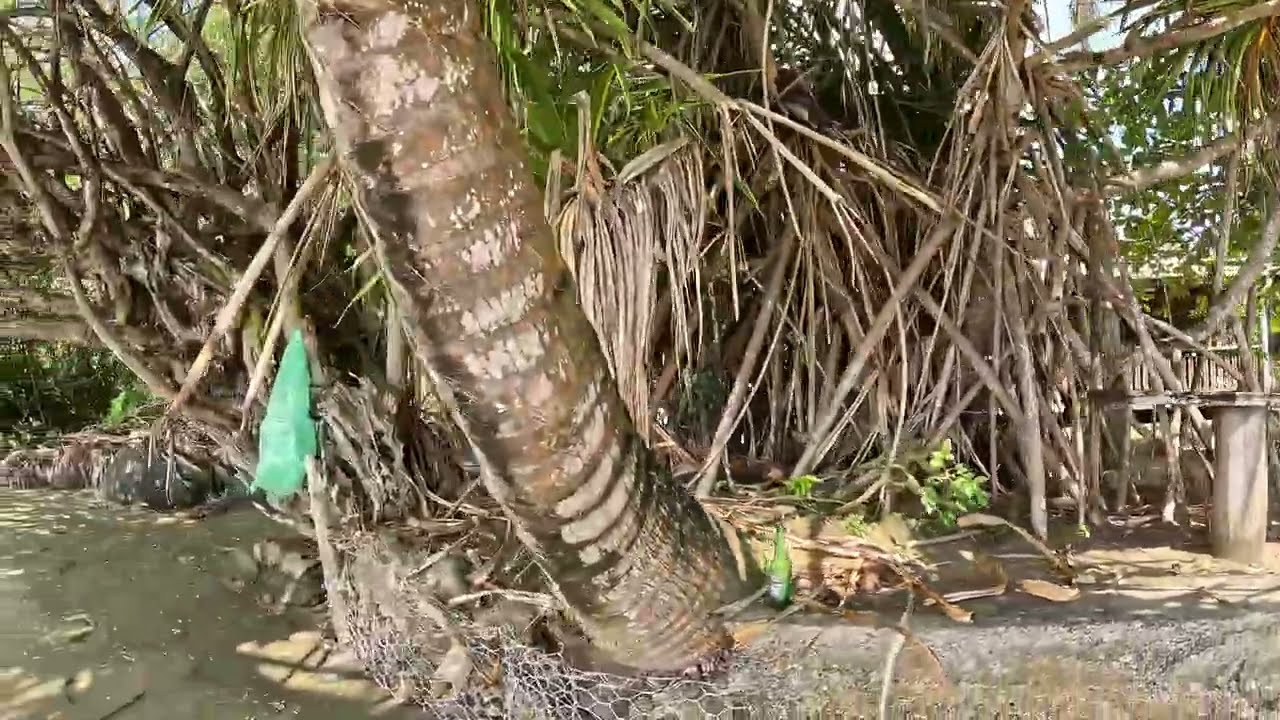 BARBADOS BAY ADVENTURE