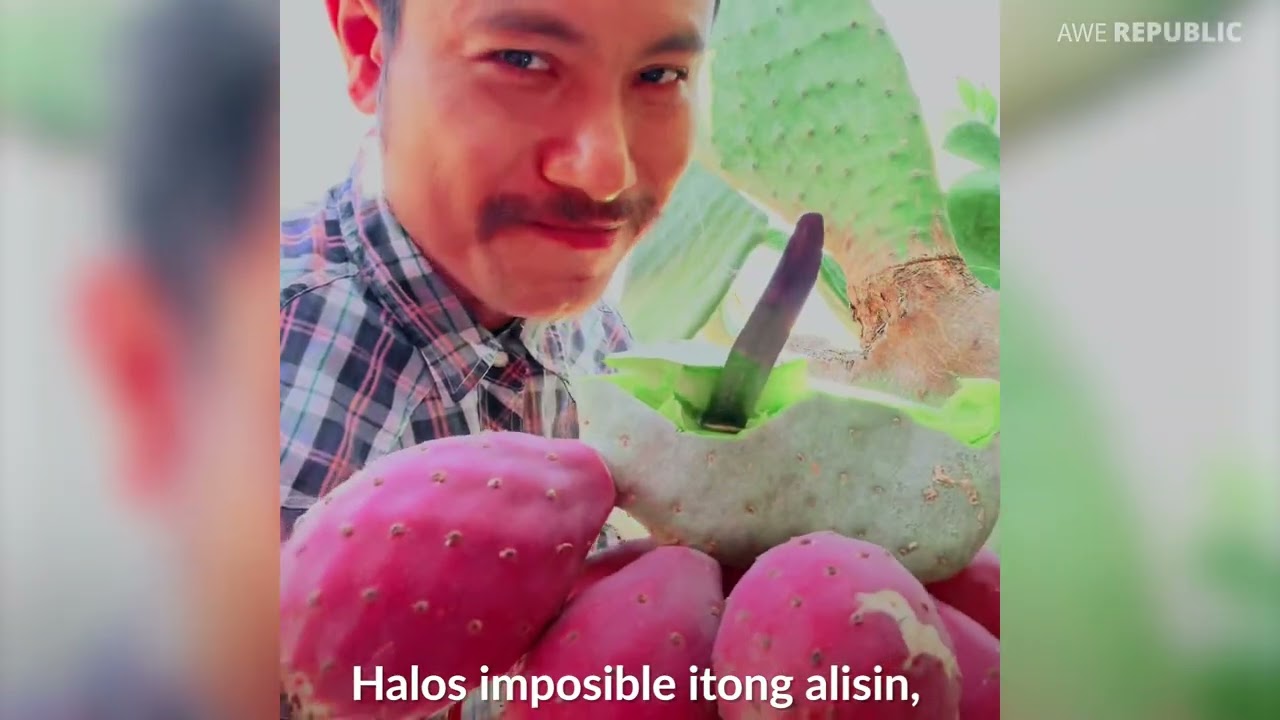 Napakadelikado Pala Nito Kaya Mag-Ingat Sa Paghawak!